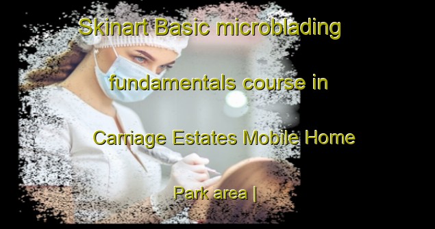 Skinart Basic microblading fundamentals course in Carriage Estates Mobile Home Park area | MicrobladingTraining | MicrobladingClasses | SkinartTraining-United States